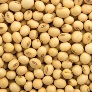 Soya Beans